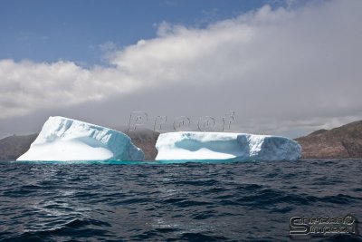 01044_nfld_d3.jpg