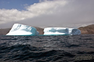 01045_nfld_d3.jpg