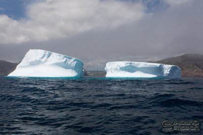 01051_nfld_d3.jpg
