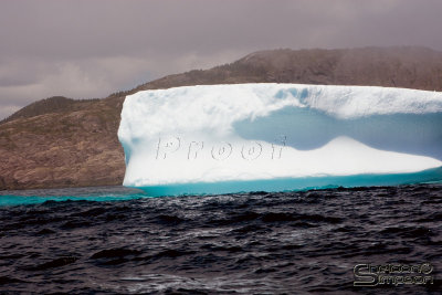 01057_nfld_d3.jpg