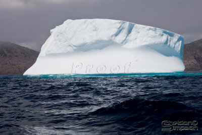 01064_nfld_d3.jpg