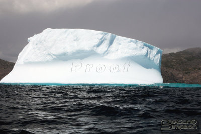 01067_nfld_d3.jpg