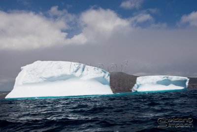 01071_nfld_d3.jpg