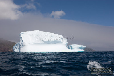 01090_nfld_d3.jpg