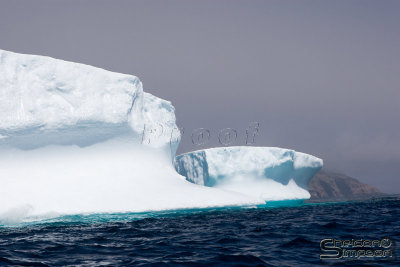 01091_nfld_d3.jpg