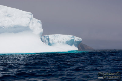01093_nfld_d3.jpg
