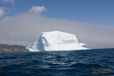 01098_nfld_d3.jpg