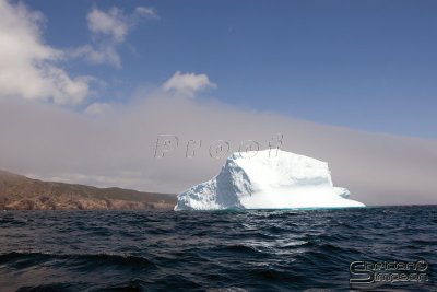 01099_nfld_d3.jpg