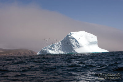 01105_nfld_d3.jpg