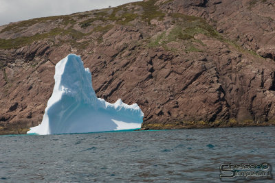 01157_nfld_d3.jpg