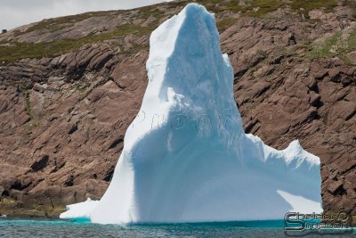 01217_nfld_d3.jpg