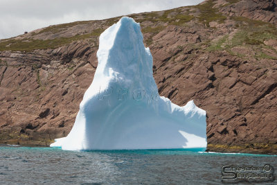 01219_nfld_d3.jpg
