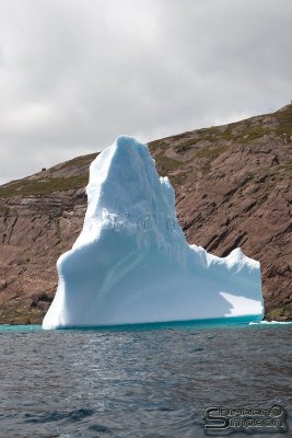 01228_nfld_d3.jpg