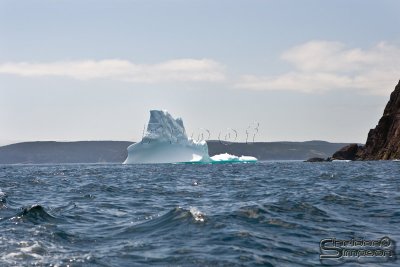 01277_nfld_d3.jpg