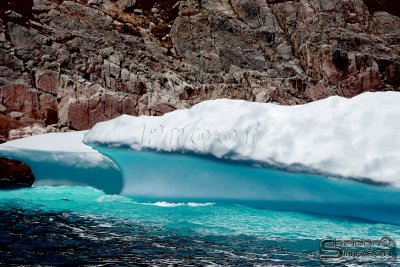 01295_nfld_d3.jpg