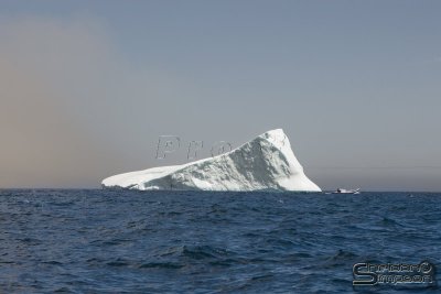 01316_nfld_d3.jpg