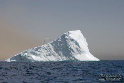 01322_nfld_d3.jpg