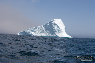 01330_nfld_d3.jpg