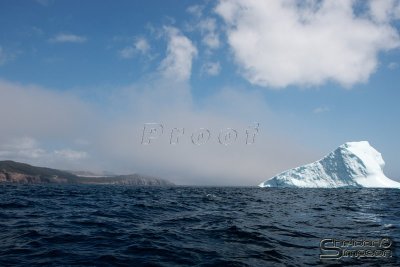 01336_nfld_d3.jpg