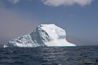01340_nfld_d3-2.jpg