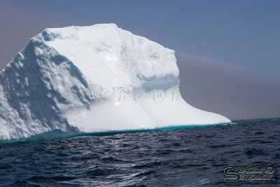 01342_nfld_d3.jpg