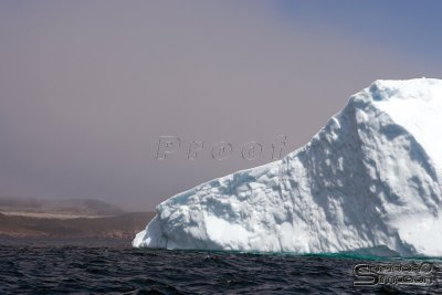 01344_nfld_d3.jpg