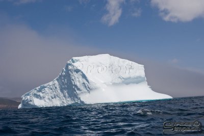 01348_nfld_d3.jpg