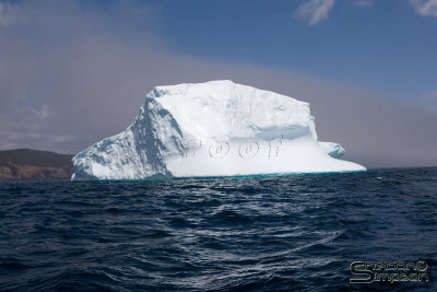 01350_nfld_d3.jpg