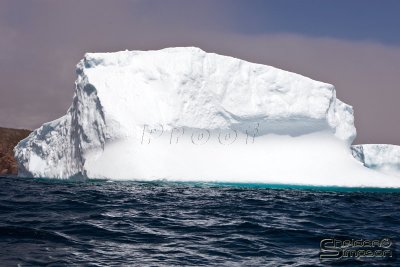 01356_nfld_d3.jpg