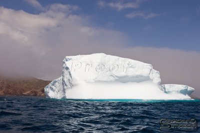 01360_nfld_d3.jpg