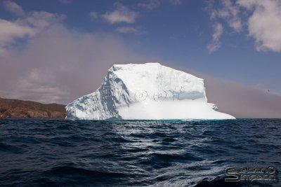 01371_nfld_d3.jpg