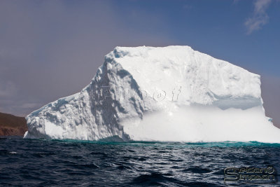 01374_nfld_d3.jpg