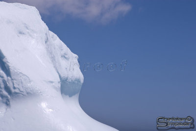 01377_nfld_d3.jpg