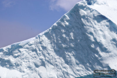 01382_nfld_d3.jpg