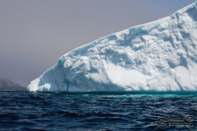 01384_nfld_d3.jpg
