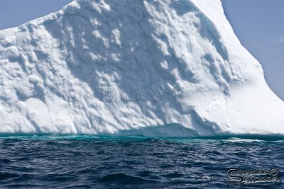 01388_nfld_d3.jpg