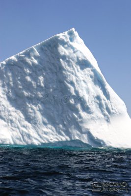 01391_nfld_d3.jpg