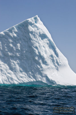 01392_nfld_d3.jpg