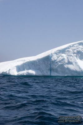 01395_nfld_d3.jpg
