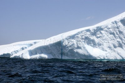01397_nfld_d3.jpg