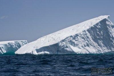 01404_nfld_d3.jpg