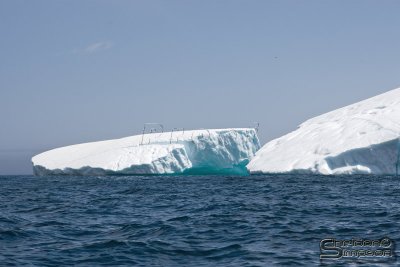 01407_nfld_d3.jpg