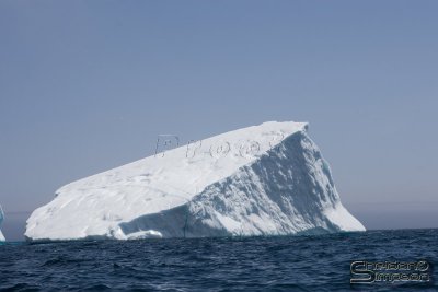 01410_nfld_d3.jpg