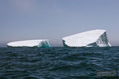 01427_nfld_d3.jpg