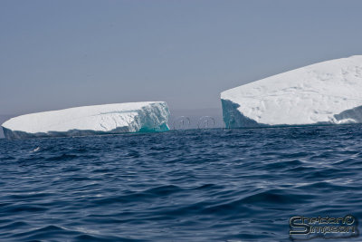 01432_nfld_d3.jpg