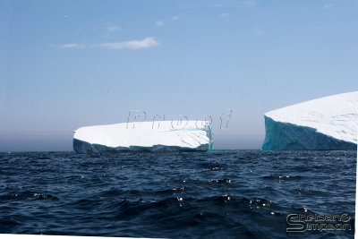 01439_nfld_d3.jpg