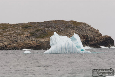 01460_nfld_d3.jpg