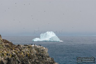 01511_nfld_d3.jpg