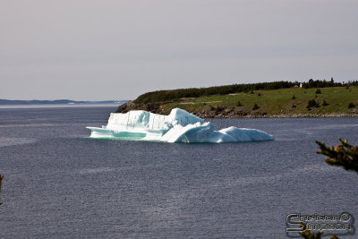 01616_nfld_d3.jpg