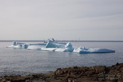 01621_nfld_d3.jpg